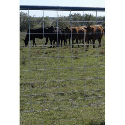 Feedlot Panel Combo 16 Ft L X 50 In H Cattle Panels