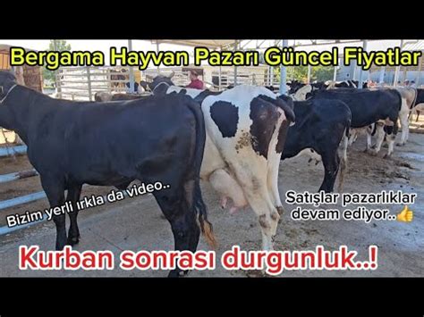 Bergama Hayvan Pazar G Ncel Fiyatlar Kurban Sonras Durgunluk Piyasa