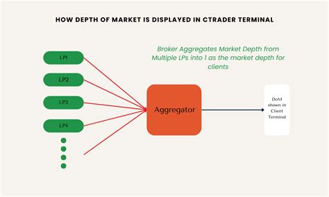 CTrader DOM Guide Master Market Analysis