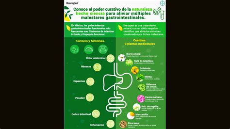 Combinan El Poder Curativo De La Naturaleza Con La Ciencia Para Aliviar