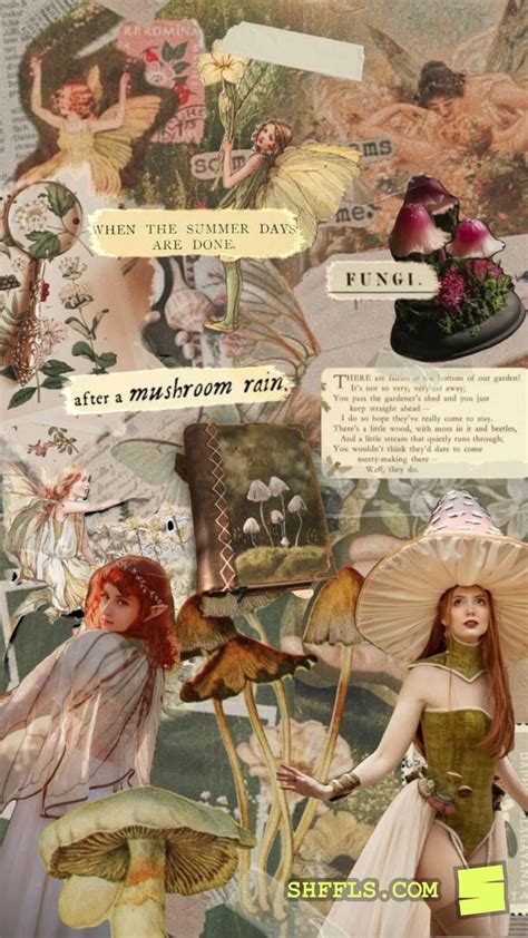 Fairycore Aesthetic Moodboard Shuffles Collage Mushrooms [video] In