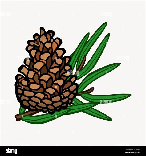 Pine cone clipart, festive illustration vector Stock Vector Image & Art ...