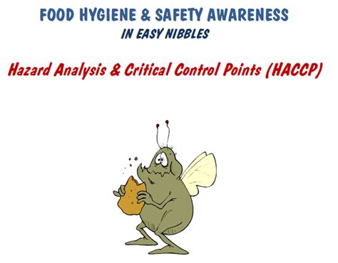 Food Safety Hazard Analysis And Critical Control Points Haccp Teaching Resources