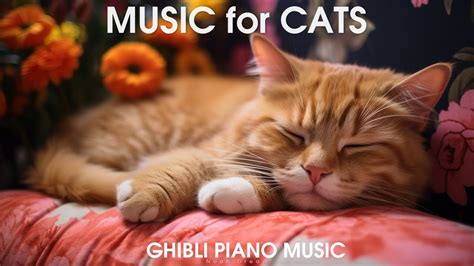 12 HOURS Of Sleep Music For Cats And Healing Deep Relaxation Stress