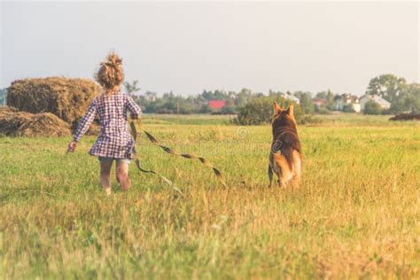 A Girl Child Summer Sunny Day Walking The Dog On A Leash Shepherd On