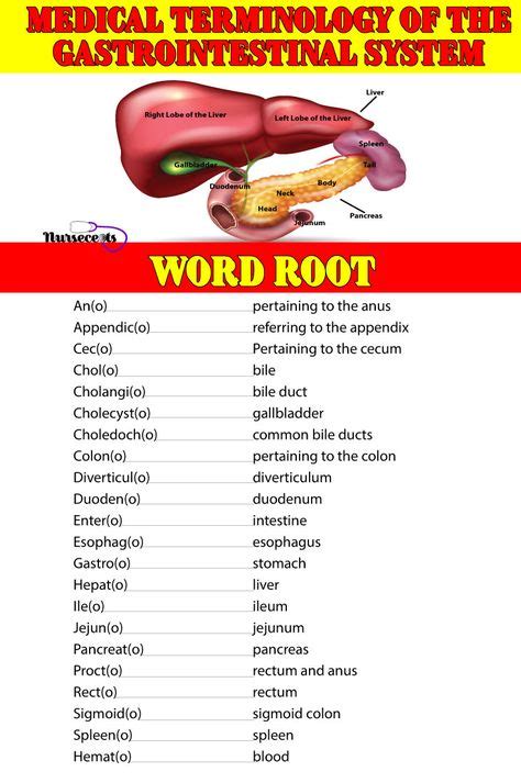 12 Medical Terminology Ideas In 2021 Medical Terminology Medical