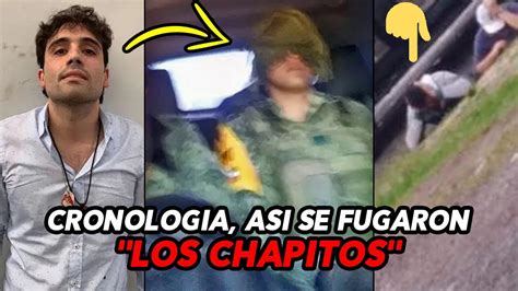 Así Fue Como Realmente Se Fugaron Los Chapitos Videos Y Frecuencias