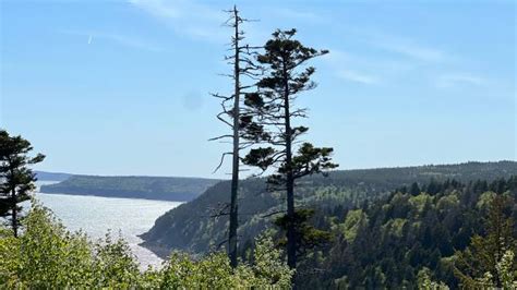 220 Fundy Trail Stock Photos Pictures And Royalty Free Images Istock