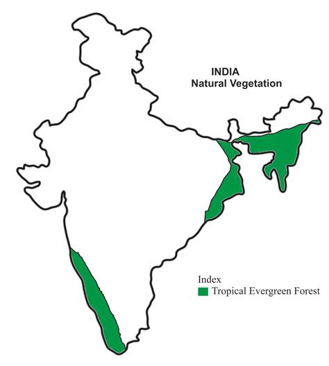 Tropical Evergreen Forest Map