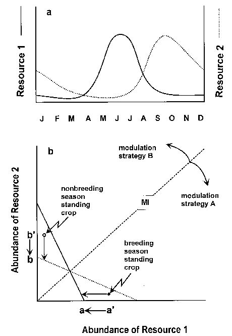 Graphical Representation Of Hypothetical Relation Between Fluctuating