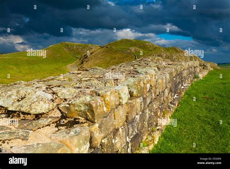 A Well Preserved Stretch Of Hadrian S Wall Passing Along Caw Gap In