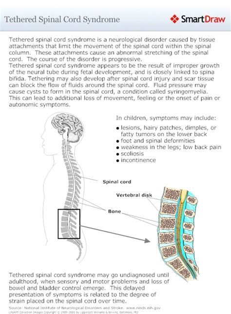 Symptoms Scar Tissue Pain After Hysterectomy Physical Therapy For