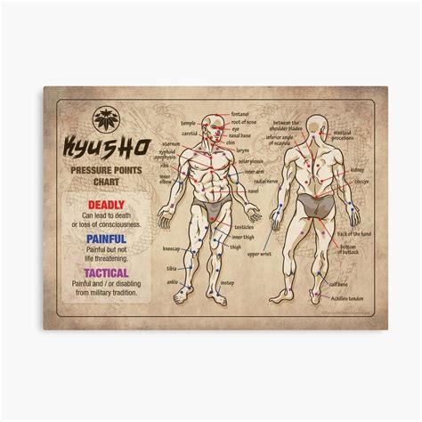 Kyusho Human Body Pressure Points Poster