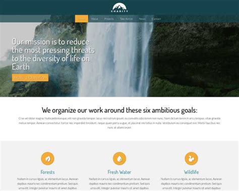 Charity Wordpress Theme Nexus Themes