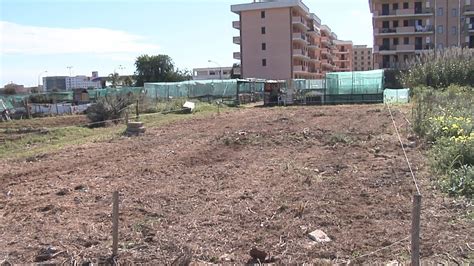 Siracusa Assegnati Nuovi Lotti Di Orti Urbani Aggiudicazioni