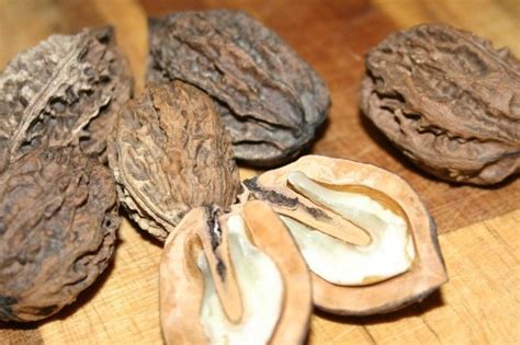 Как отличить китайские грецкие орехи