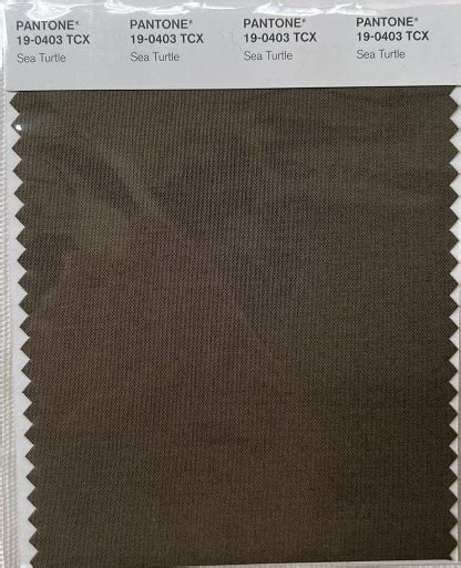 Pantone Tcx Cotton Swatch Card Tcx Chocolate Chip