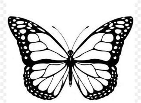 Monarch Butterfly Black And White Clip Art, PNG, 746x600px, Butterfly ...