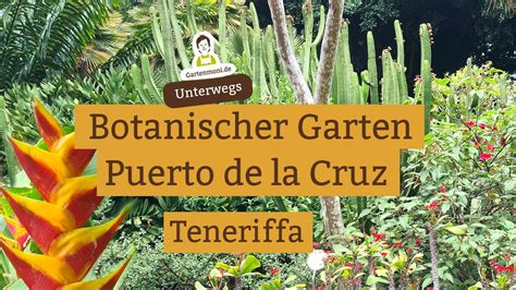 Beeindruckende Gew Chse Im Botanischen Garten In Puerto De La Cruz Auf