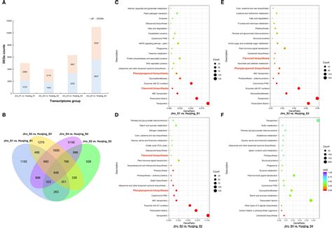 Frontiers Comparative Transcriptomic And Metabolomic Analyses Reveal