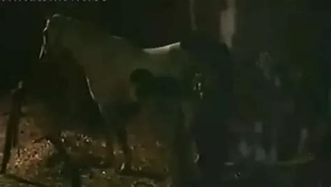 Tatiana 2 Porn For Women Retro Porn Feat Inga Ridere XHamster