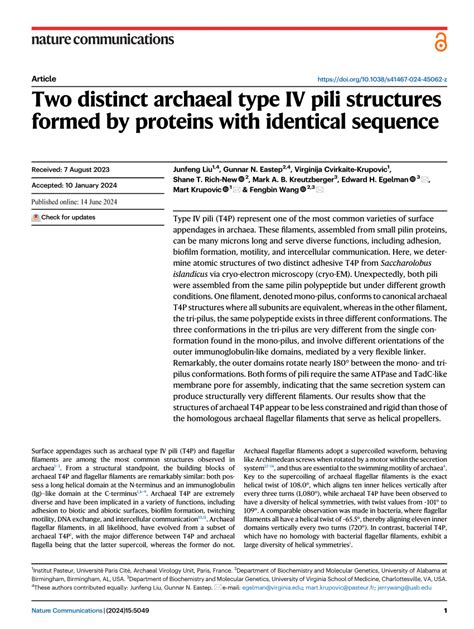 Pdf Two Distinct Archaeal Type Iv Pili Structures Formed By Proteins