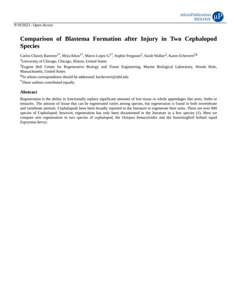 (PDF) Comparison of Blastema Formation after Injury in Two Cephalopod ...