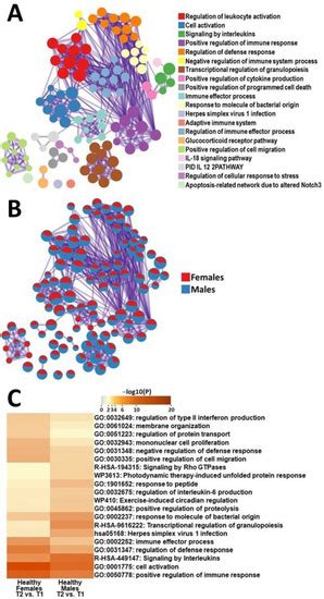 Sex Dependent Transcriptional Changes In Response To Stress In Patients