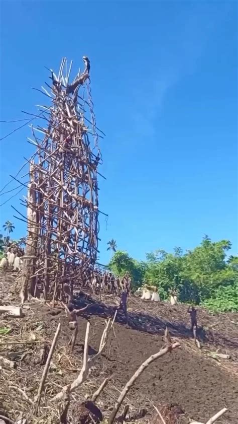 A Bungee Jump Ritual Performed By Tribe Members In Pentacoast Vanuatu