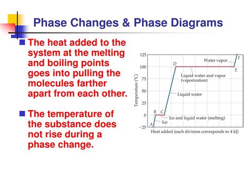 Phase Changes And Phase Diagrams