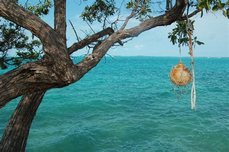 Chez Pierre Bahamas Millers Long Island Bahamas