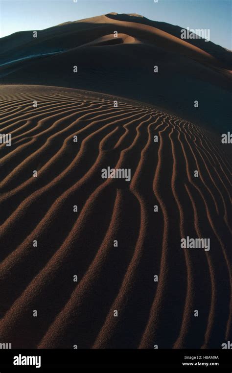 Namib Desert Showing Tallest Sand Dunes In The World Namibia Stock