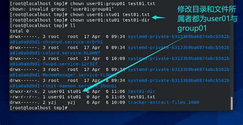 Linux实验三 文件和目录的访问权限 用户组群与文件目录权限管理 实验 CSDN博客