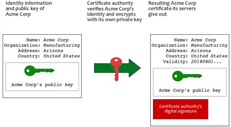 A Digital Certificate Contains All Of The Following Except The Prntbl