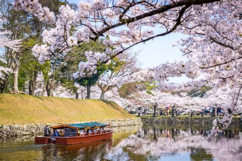 Hikone Castle - GaijinPot Travel