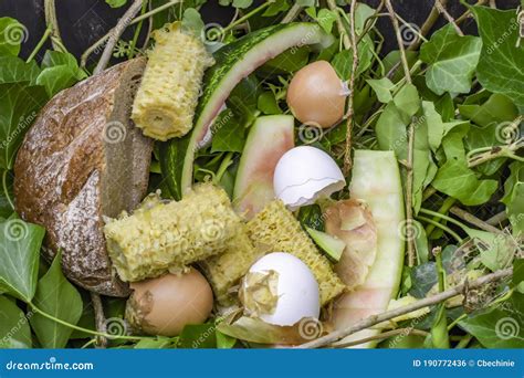 Bio Container With Various Organic Wastes For Recycling Stock Photo