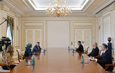 President Ilham Aliyev Receives Executive Director Of The Joint United