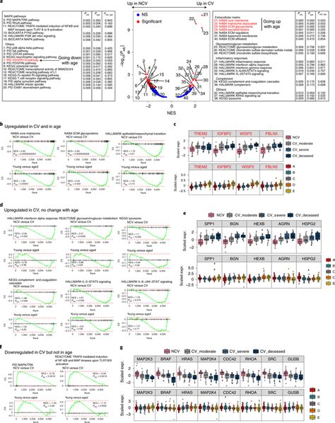 Pathway Enrichment Analysis Distinguishes Covid 19 From Non Covid 19