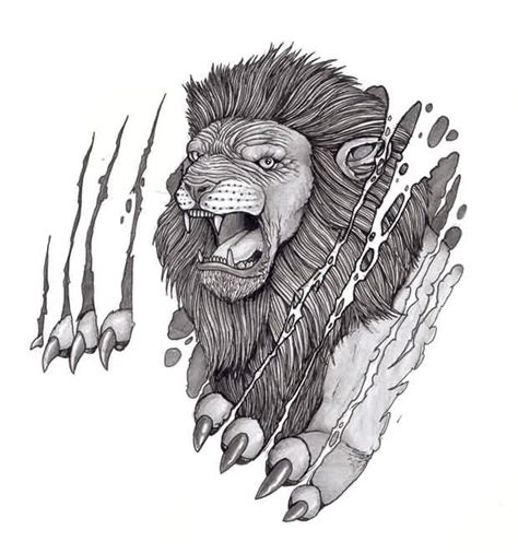 Lion Claw Drawing At Explore Collection Of Lion