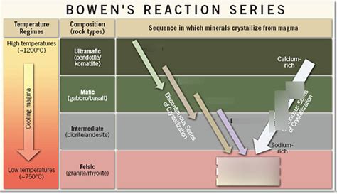 Exam Diagram Quizlet