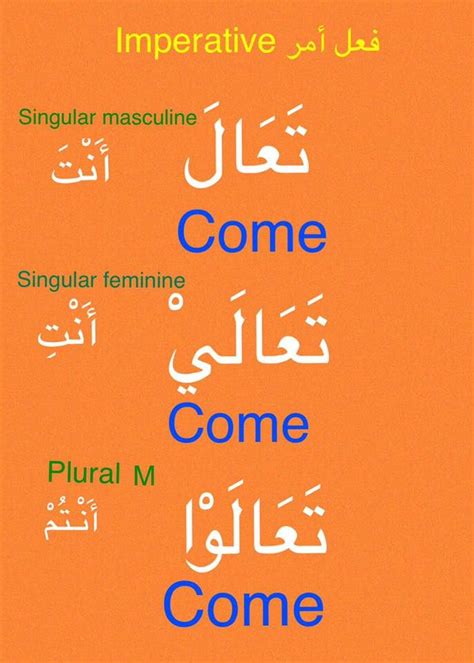 Learning Arabic MSA Fabienne Learn Arabic Language Learn Arabic