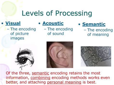 Introduction To Memory And Encoding Ppt Download