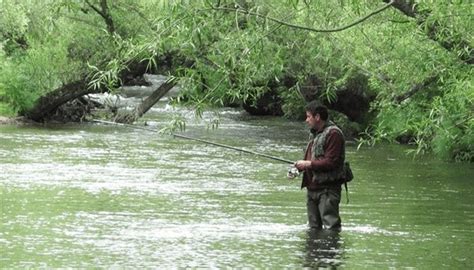 LA PESCA FLUVIAL Trucos que SÍ FUNCIONAN EsPesca