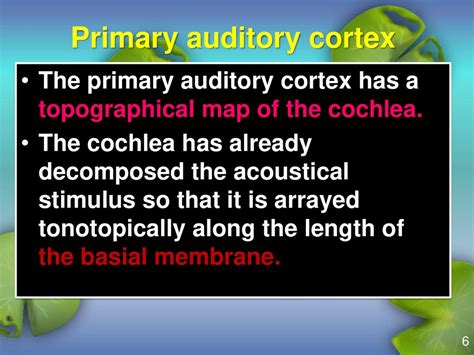 Auditory pathway Domina Petric, MD. - ppt download