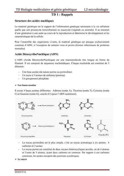 TD L3 microbiologi td Biologie Moliculaire et Géné Génétique 2022 2021