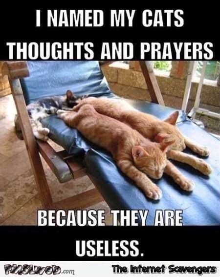 Thoughts And Prayers Memes