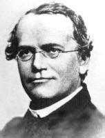 Gregor Mendel Biography, Gregor Mendel's Famous Quotes - Sualci Quotes 2019