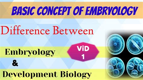 Basic Concepts Of Embryology Difference Between Embryology