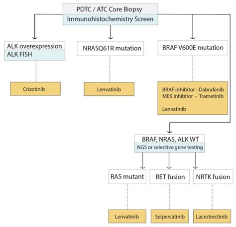 Cancers Free Full Text Molecular Markers Guiding Thyroid Cancer Management