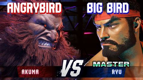 Sf Angrybird Akuma Vs Big Bird Ryu High Level Gameplay Youtube